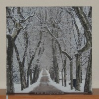 /album/foto-impresion/herreria-30x30-invierno-frontal-jpg/